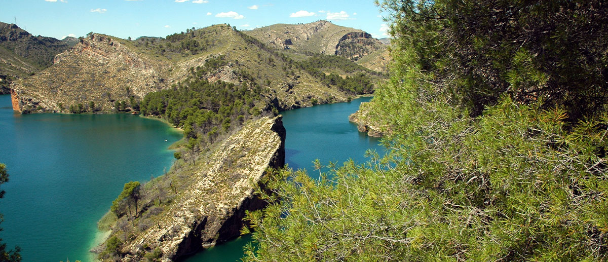 Cuenca occidental
